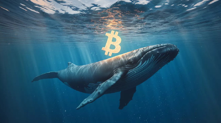 ビットコインの価格が上昇しないのはなぜですか？クジラはこの戦術を使用していますか？

