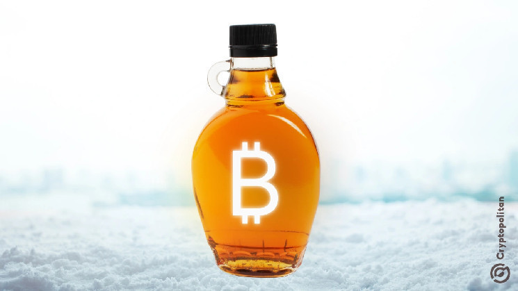 メープルのCEOは、ウォールストリートスタイルの施設の貸出をビットコイン支援ローンで携帯しています

