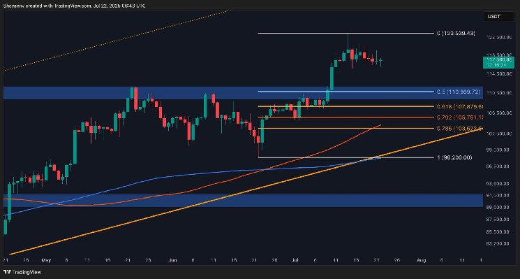 ビットコインの価格分析：重要な要因が先のBTC修正を指し示しています

