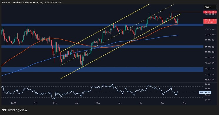 ビットコイン価格分析：この重要な抵抗は、新しいATHへのBTCの道に立っています

