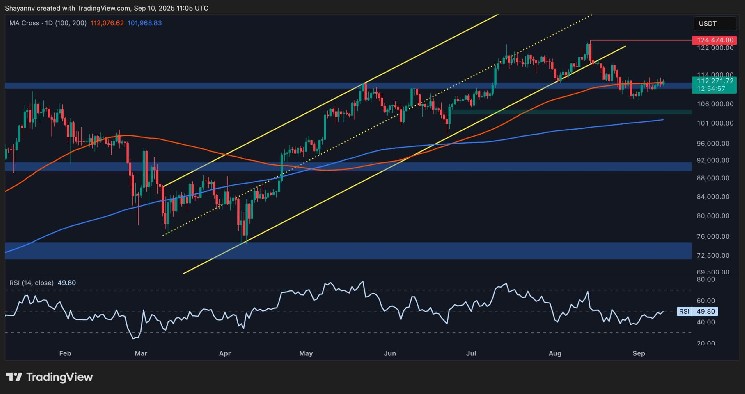 ビットコインの価格分析：BTCは、新しいATHへの道の重要な抵抗を戦います

