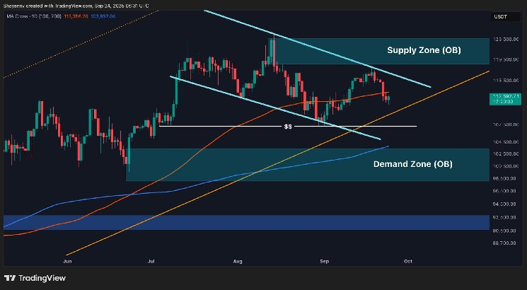 ビットコイン価格分析：BTCは今週$ 110Kを下回りますか？

