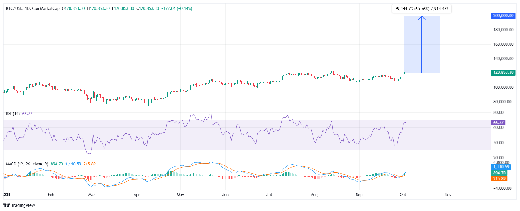 ビットコインの価格分析