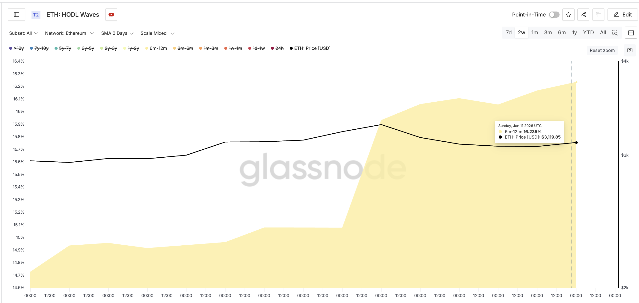 中期<スパンクラス=