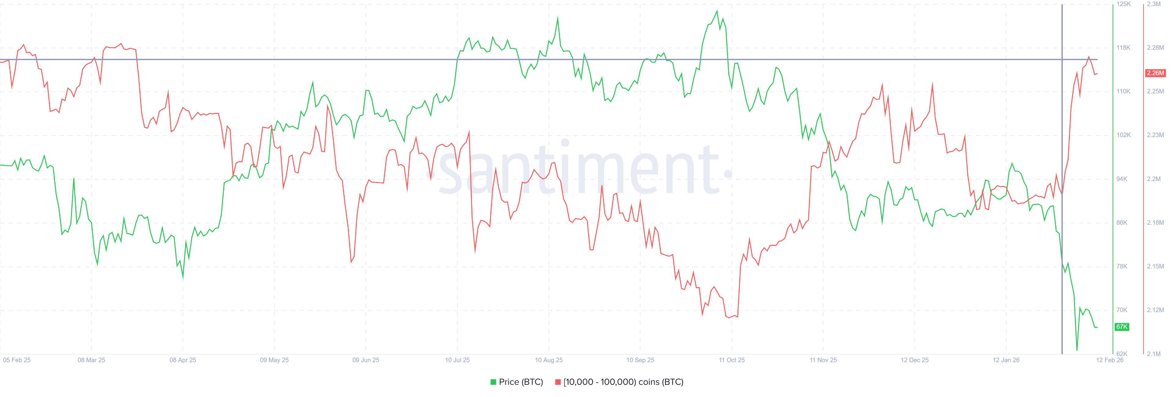 ビットコインクジラの供給