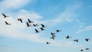 7 億ドルの移行: Solv Protocol が LayerZero を捨てて Chainlink を導入する理由