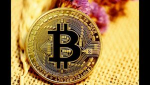 プログラマブル ピボット – ZK-Rollups と BitVM がビットコイン ネイティブ DeFi を立ち上げる方法