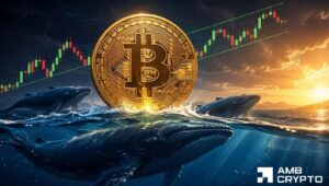 1億9,800万ドルのクジラ撤退後、ビットコインの供給が逼迫 – BTCは7万ドルに到達できるか?