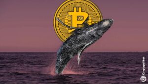ビットコインのクジラウォレットが売れ続け、BTCの価格軌道への圧力が高まる