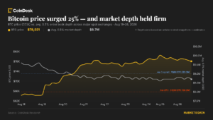 ビットコイン市場の動きはあまり追跡されていないため、8月の8万ドルへの急騰に信頼性が与えられる