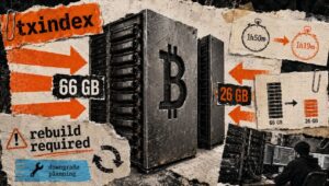 隠蔽されたビットコインノードデータベースは40 GB縮小しましたが、それはランナーが再構築した場合に限ります