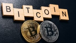 1110万ビットコインの所有者は不明: 総供給量の55%を所有しているのは誰?