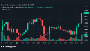強気派が力を合わせて戦いに戻る中、ビットコイン価格は8万5,000ドルを超えて急騰
