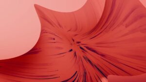 OpenAnonProjectがイーサリアム財団と協力