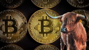 ビットコイン強気派が守る必要がある唯一のレベルが明らかに！このレベルが保護されなかった場合に何が起こるかをアナリストが説明し共有します。